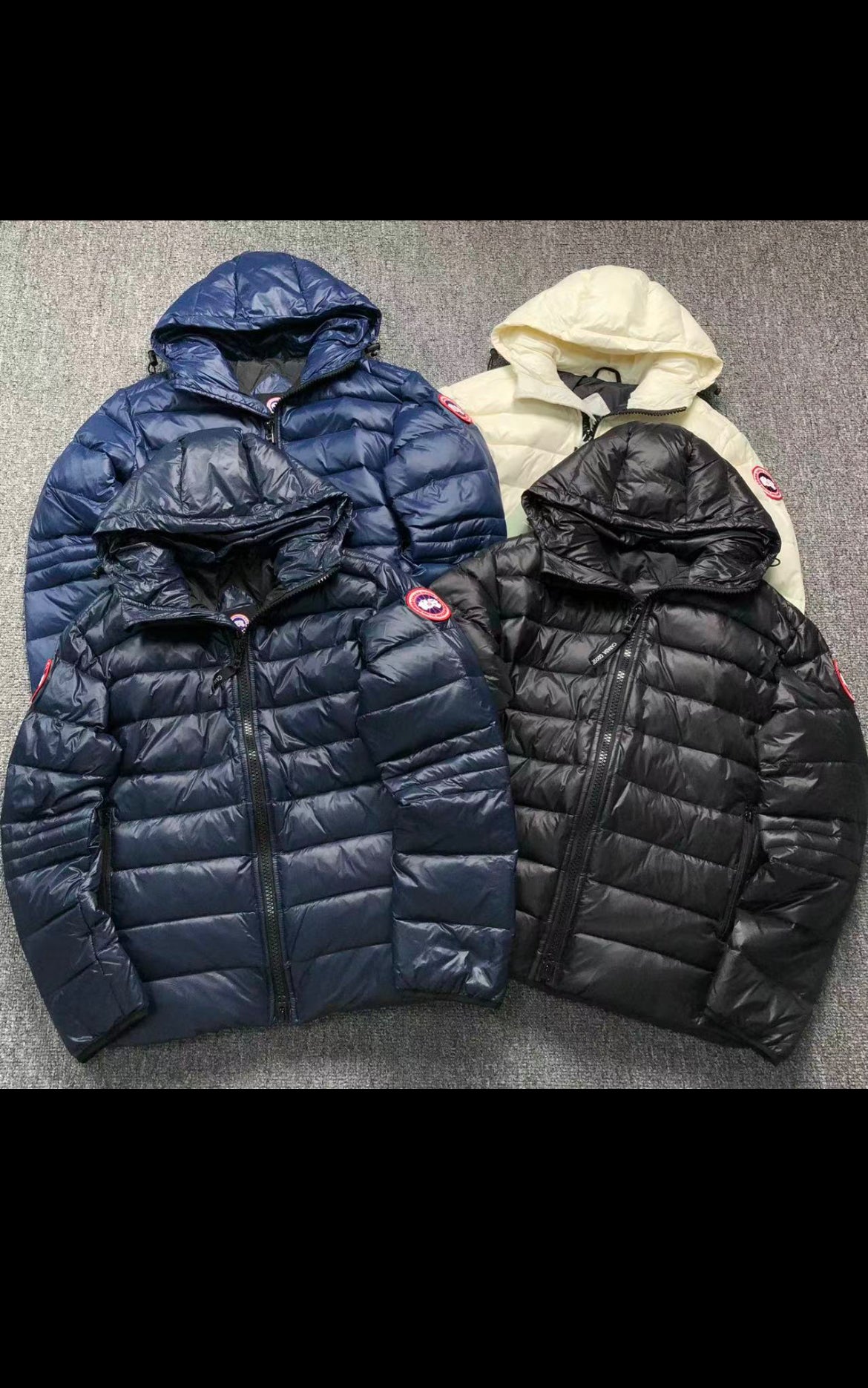 C⭐️n⭐️d⭐️ goose coat