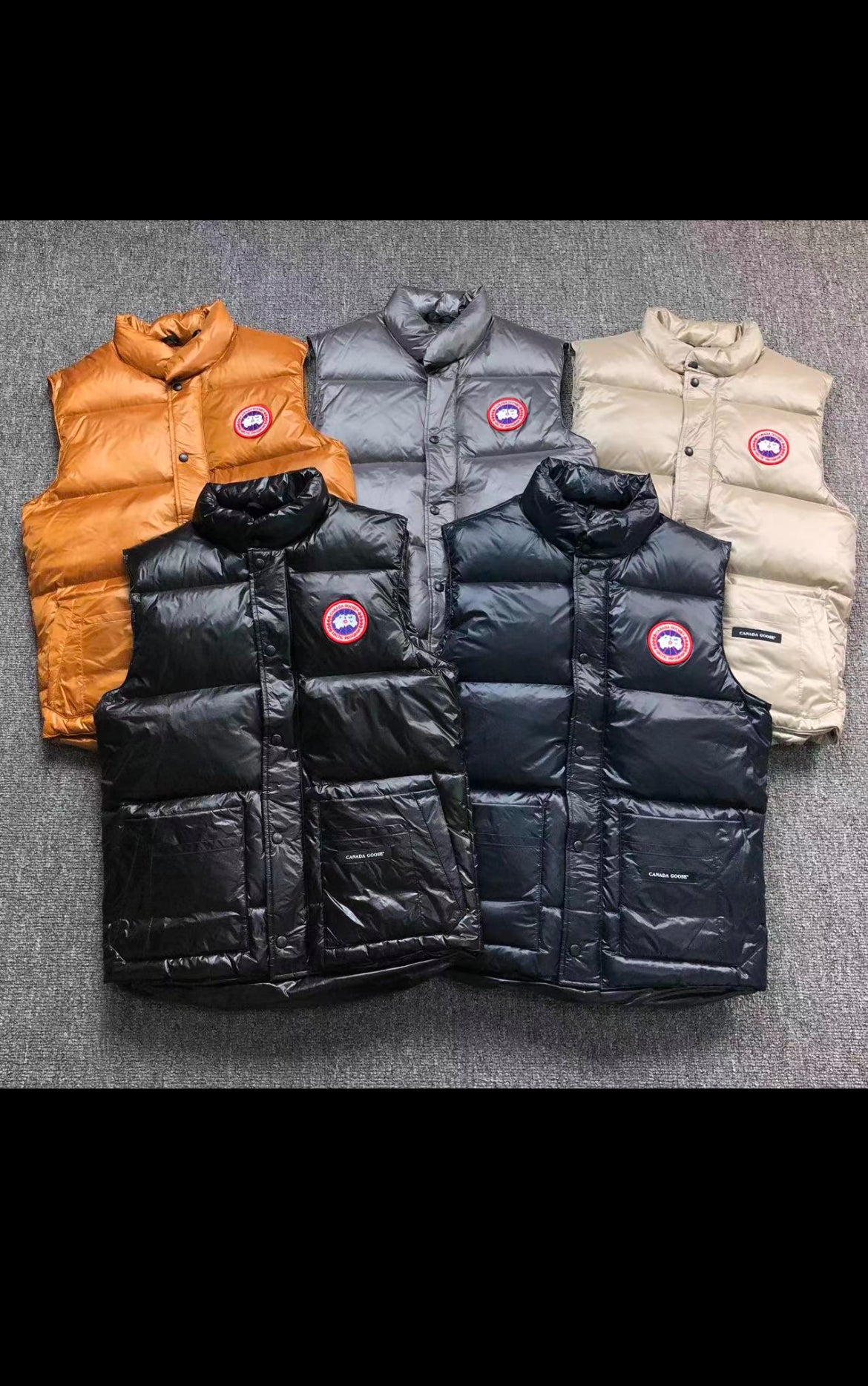 C⭐️n⭐️d⭐️ goose gilet
